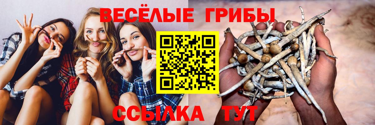 Надым  Галлюциногенные грибы мухоморы  Вход с VPN  Псилоцибиновые грибы прущие грибы 